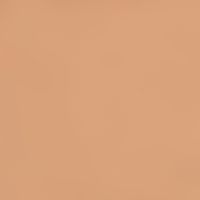 Zao Essence of Nature Concealer - Dark Brown 